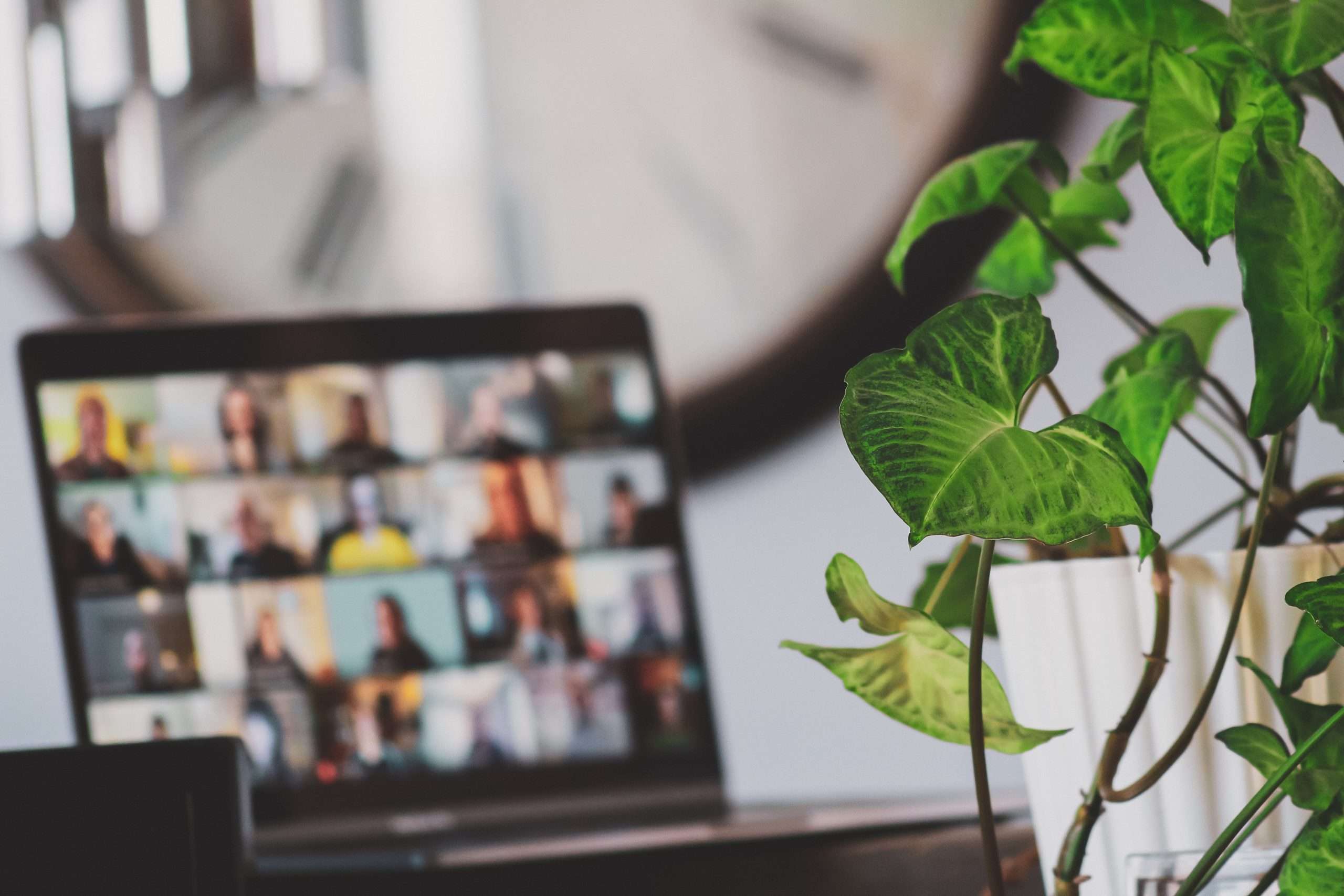 video conferencing zoom meeting